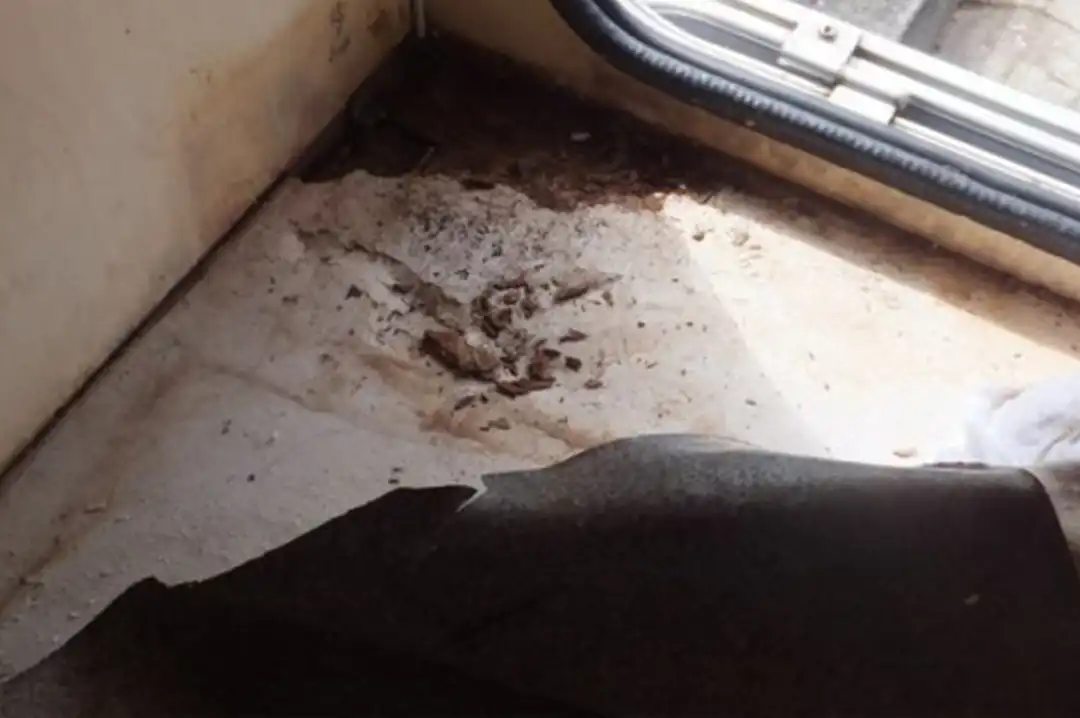 Foto eines Wasserschadens in einem Wohnmobil.